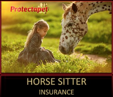 Little girl sitting on the grass feeding a horse representingg horse sitting insurance for Protectapet 