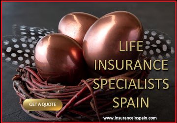 Nest of copper eggs representing life insurance specialists at www.insuranceinspain.com