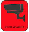 CCTV ICON FOR 24HR SECURITY