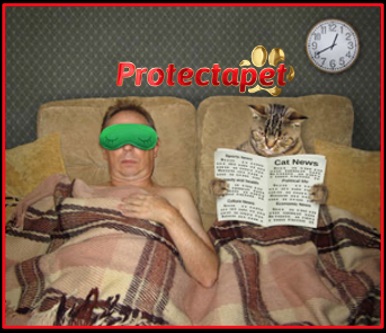 Man in bed with a cat reading the newspaper