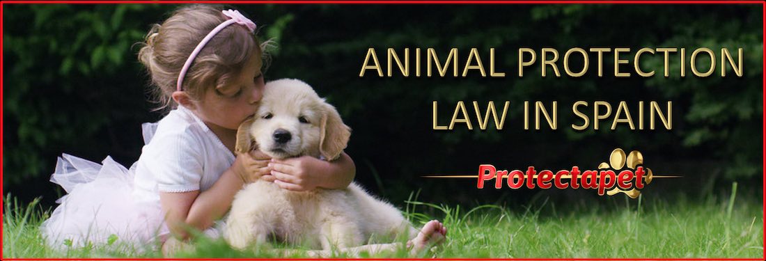 PROTECTAPET | Animal Protection laws Spain
