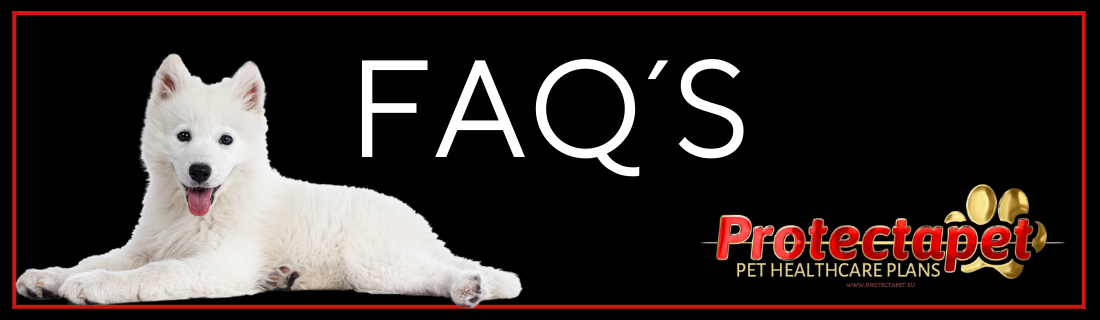 Frequently asked questions about Protectapet Pet Healthcare Plans