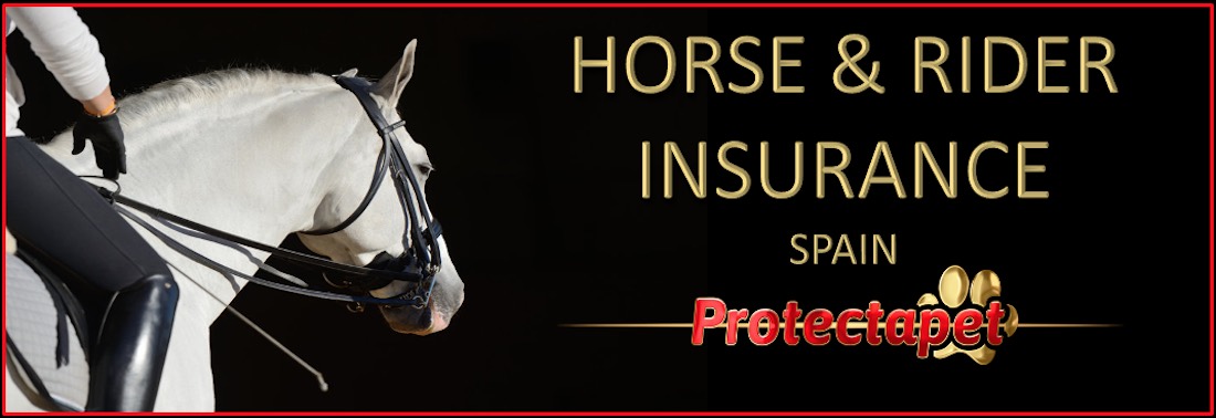 Horse, rider and Tack Insurance by Protectapet