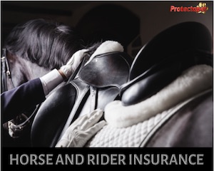 Protectapets horse and rider insurance in Spain