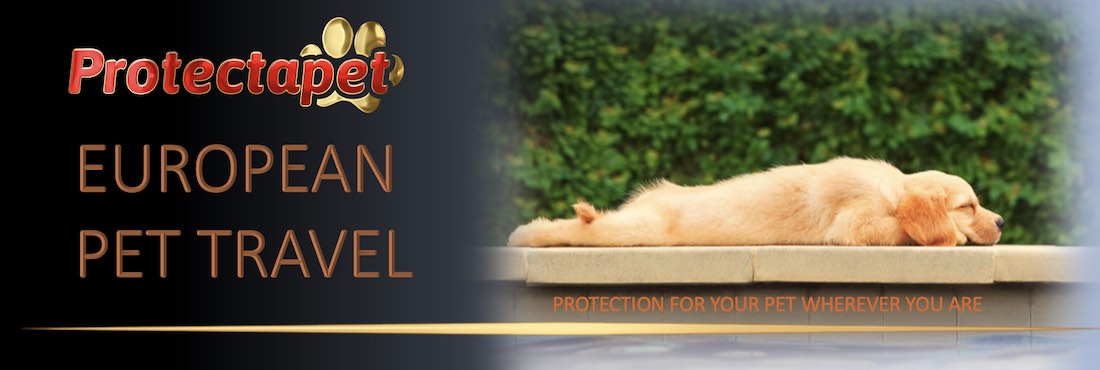 A labrador lazing by the side of a swimming pool marketing European Pet Travel by Protectapet