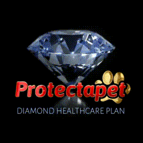 Protectapets Diamond Healthcare plans for Cats and Dogs