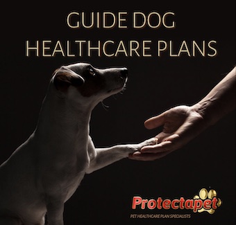 Guide dog healthcare plans by Protectapet